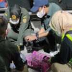 Petugas Karantina Lampung.