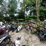 Pohon tumbang timpa motor.