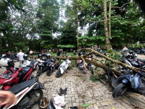 Delapan Motor Mahasiswa Tertimpa Pohon, Rektorat Unila Bantu Perbaikan