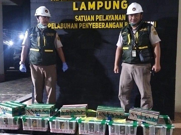 Truk Bawa Satwa Ilegal