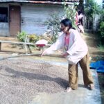 Jemur dan giling kopi.