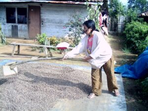Jemur dan Giling Biji Kopi