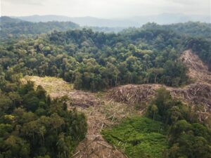 Kelestarian TNBBS Terancam, Perburuan Satwa dan Perambahan Hutan Merajalela